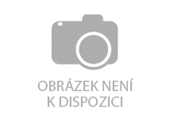 A51 ECQ 10x01 Nokia  OTFC445,C462 /viz příplatek k přepravě/